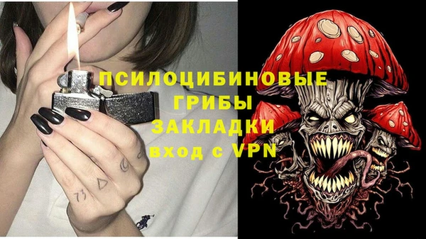 Альфа ПВП Медногорск