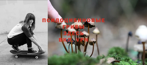 твердый Медвежьегорск