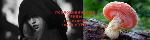 твердый Медвежьегорск